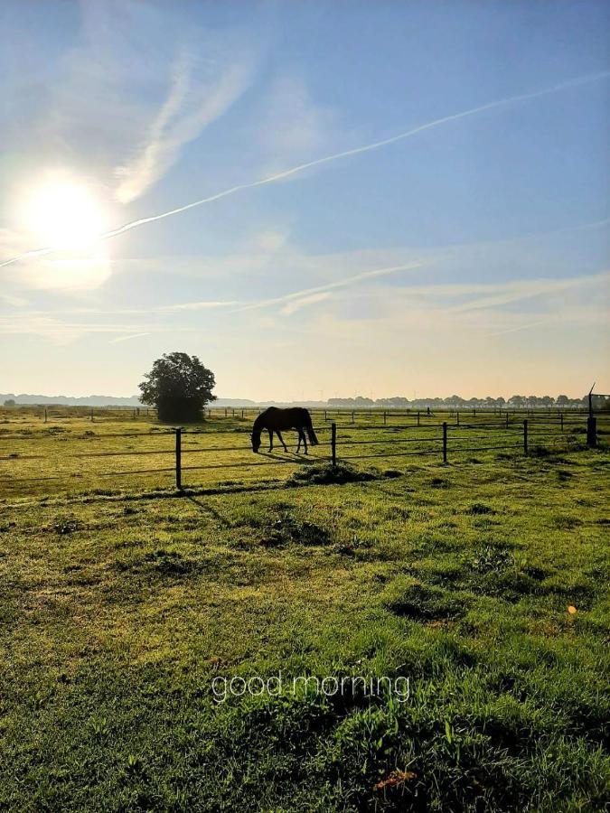 'T Wolthoes Vlagtwedde Exterior foto